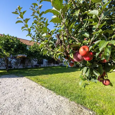 Casa Da Lagoa E Forja -